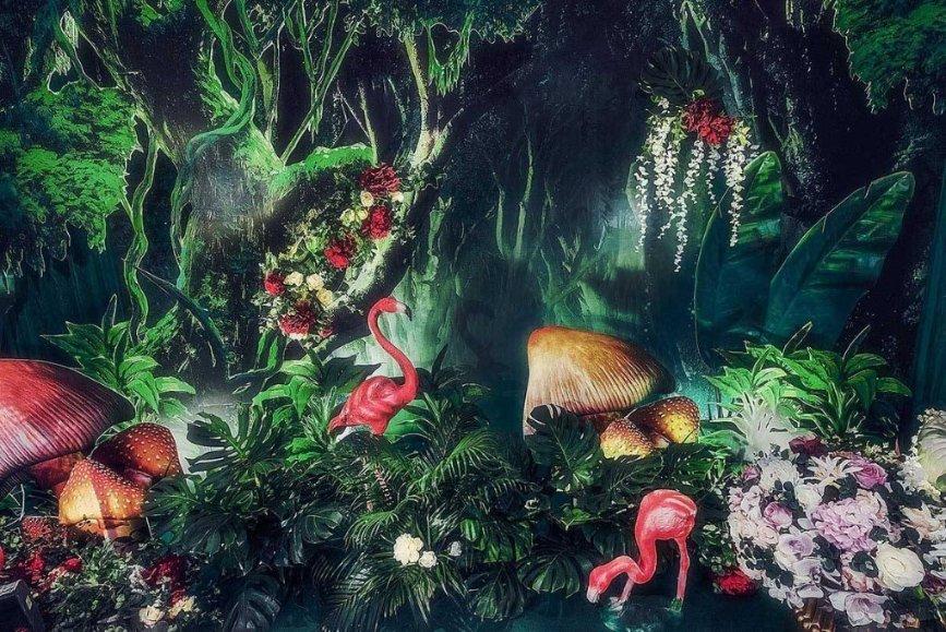 创作猫